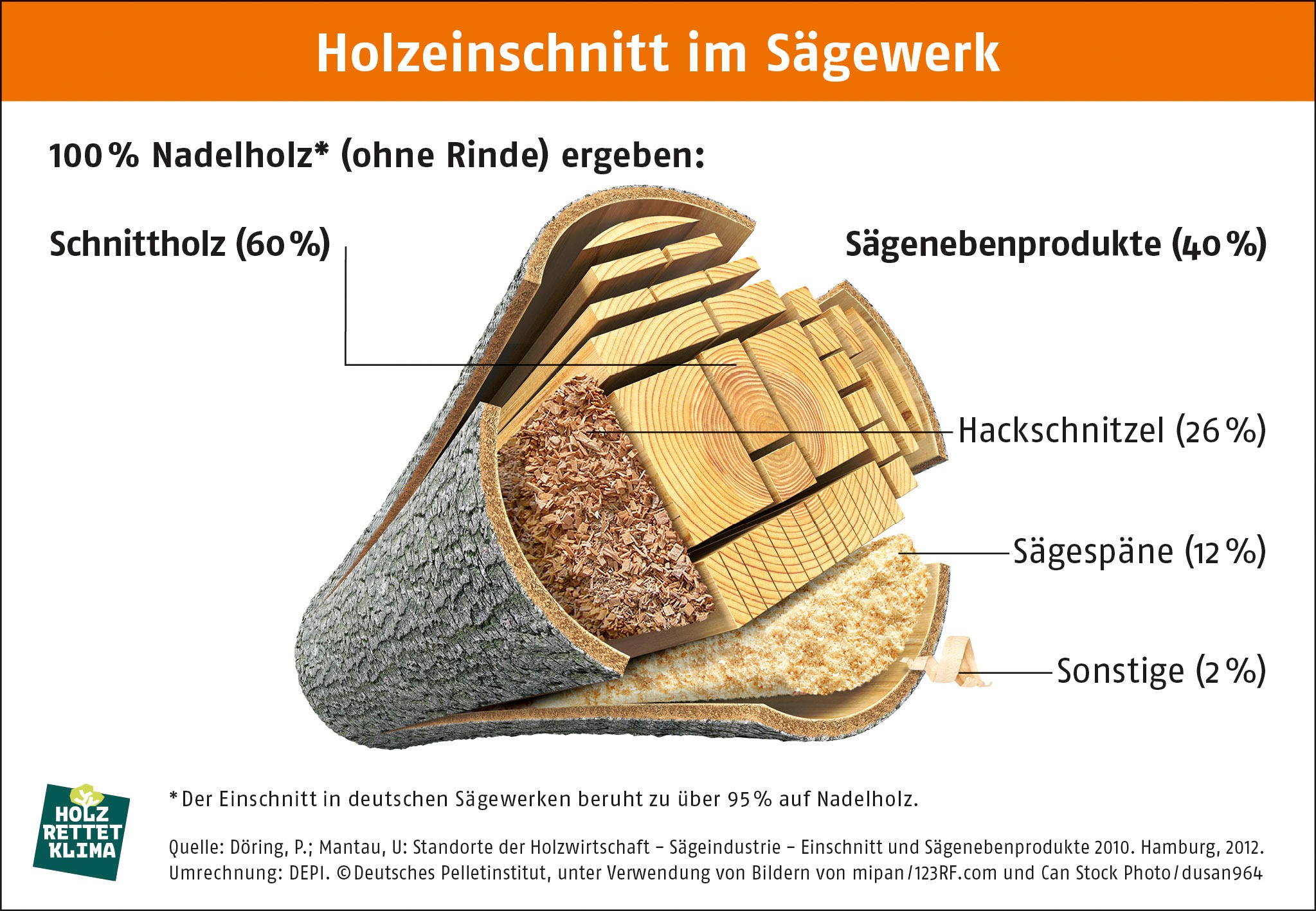 Holzeinschnitt im S&auml;gewerk