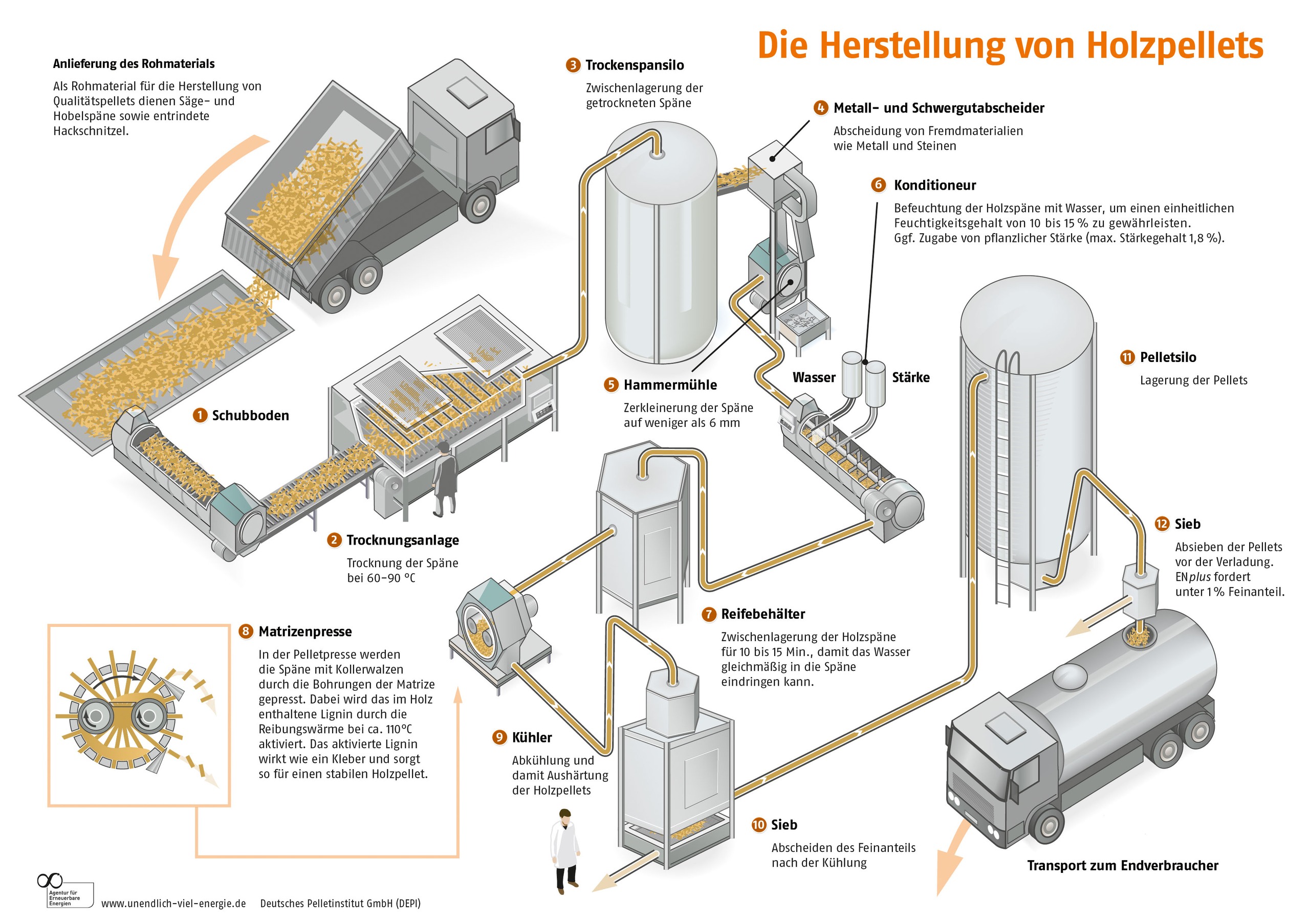 Die Herstellung von Holzpellets